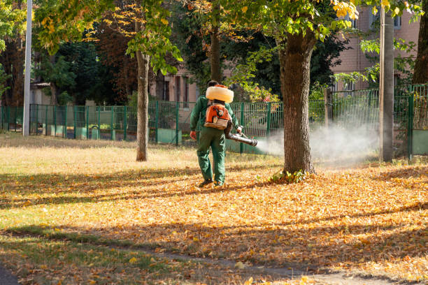 Reliable Hunter, OH Pest Control Solutions